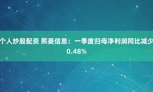 个人炒股配资 熙菱信息：一季度归母净利润同比减少0.48%